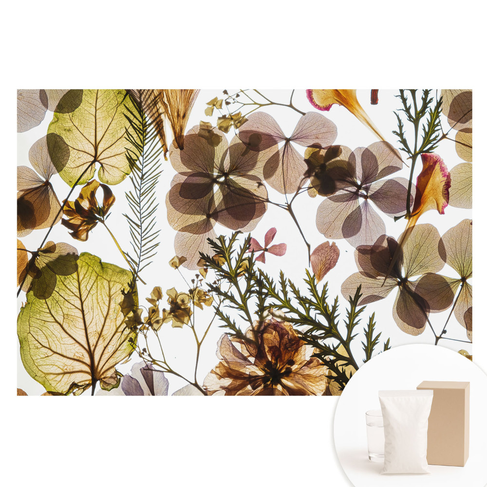 Papier peint photographique sur tissu non tissé Feuilles et fleurs séchées dans un style bohème