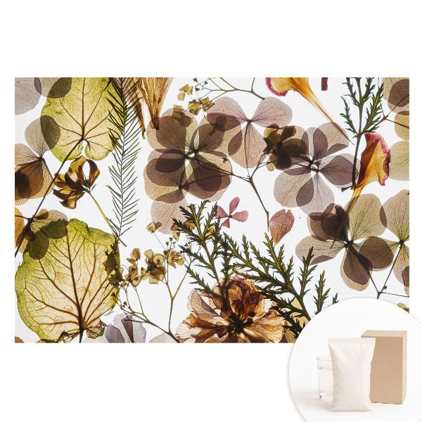 Papier peint photographique sur tissu non tissé Feuilles et fleurs séchées dans un style bohème