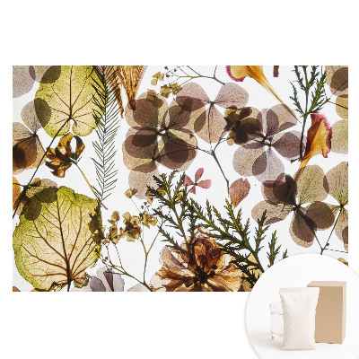 Papier peint photographique sur tissu non tissé Feuilles et fleurs séchées dans un style bohème