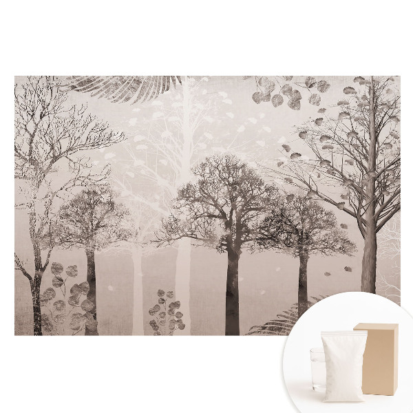 Papier peint photographique intissé Paysage forestier apaisant