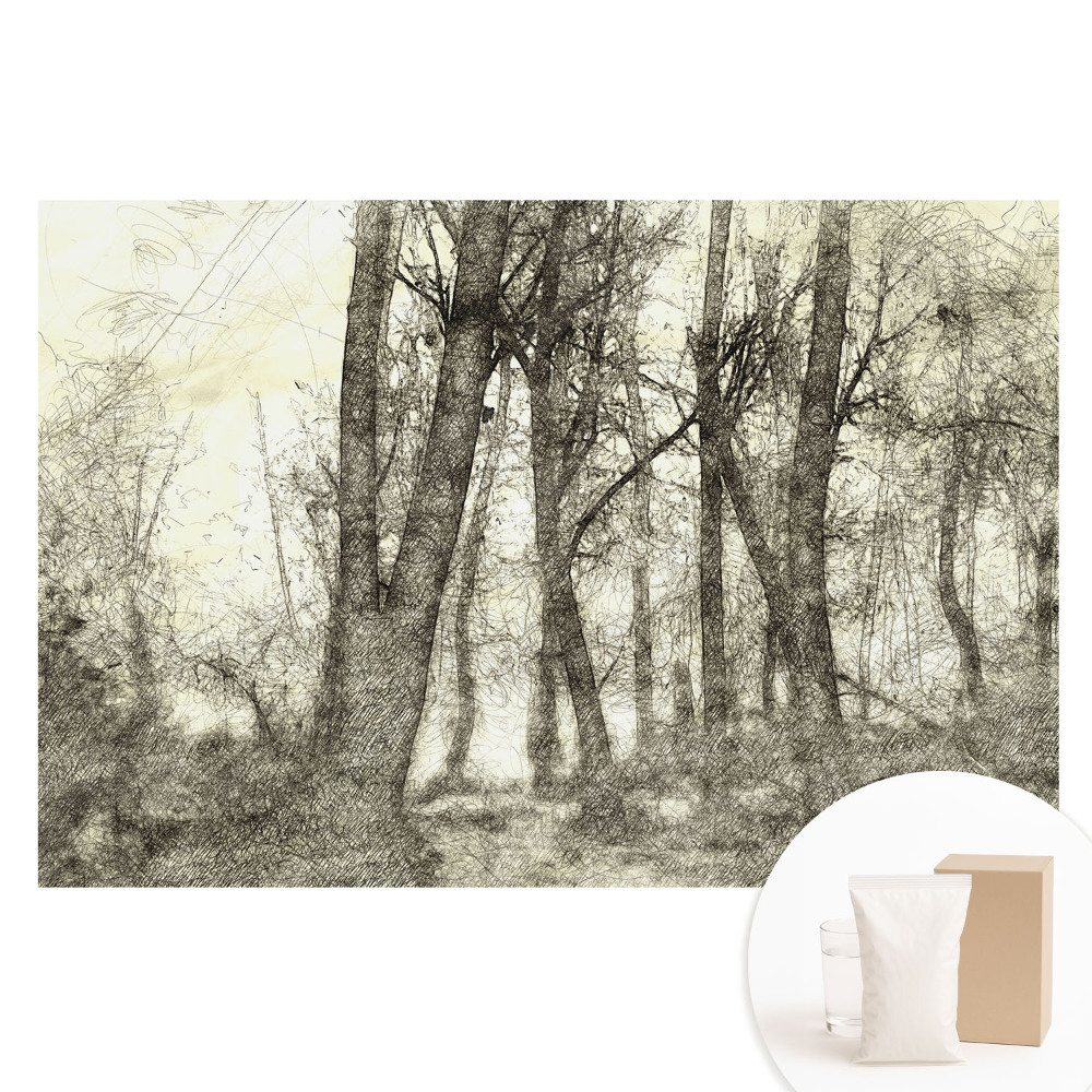 Papier peint panoramique intissé paysage de forêt atmosphérique