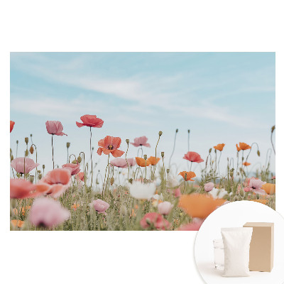 Papier peint intissé imprimé avec motif de coquelicots colorés sur fond de ciel bleu