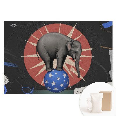 Papier peint photo imprimé sur tissu non tissé Éléphant rétro sur une boule