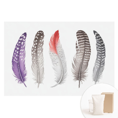 Papier peint intissé Plumes colorées dans un style moderne