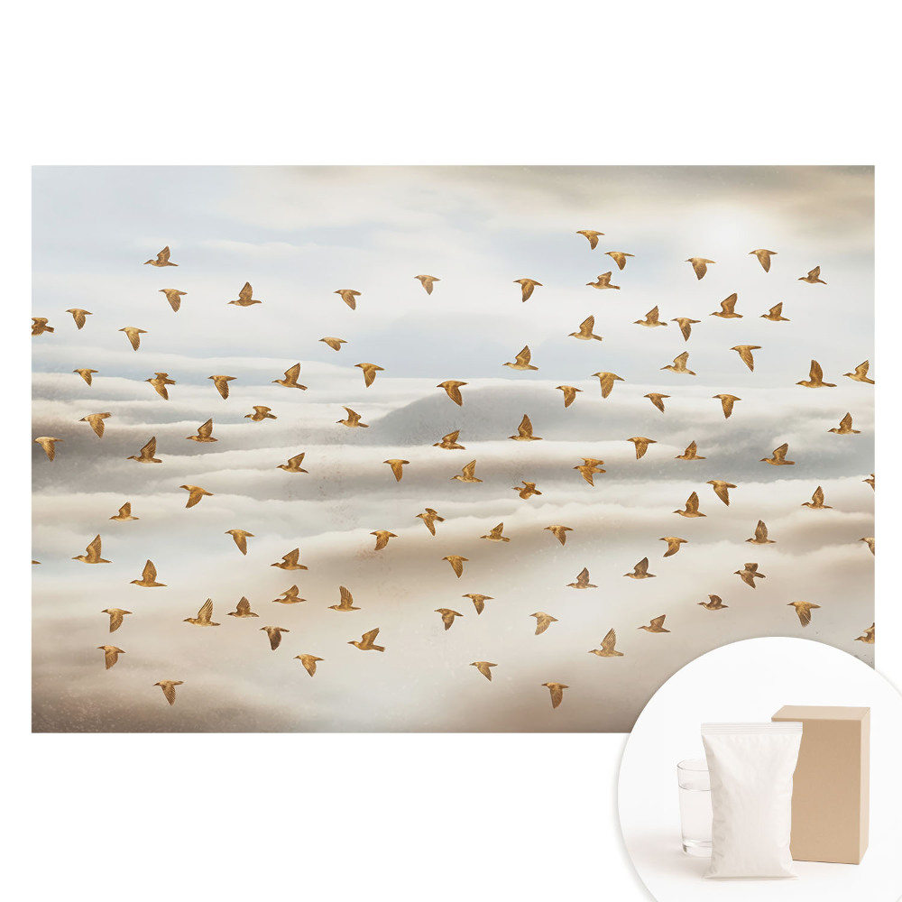 Papier peint photo sur tissu non tissé représentant des oiseaux volant dans les nuages