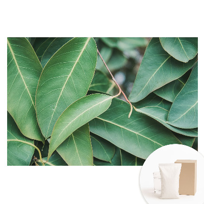 Papier peint photo grand format pour le mur Harmonie minimaliste de feuilles vertes, style harmonieux. Feuilles vertes, style vert. Amoureux des feuilles vertes. Feuilles vertes, style