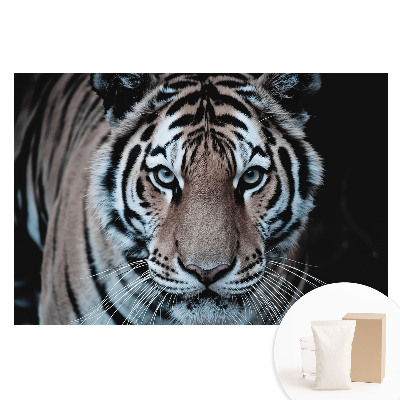 Papier peint intissé imprimé composition dynamique du tigre magnétisant