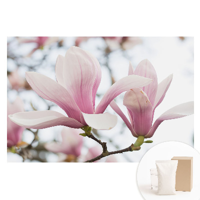Papier peint intissé imprimé Les magnolias roses, nature romantique