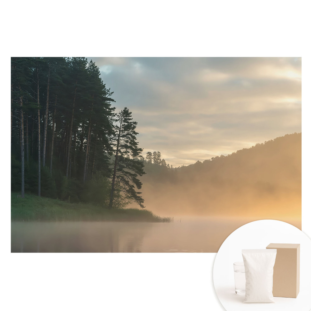 Papier peint photographique intissé Paysage brumeux le matin