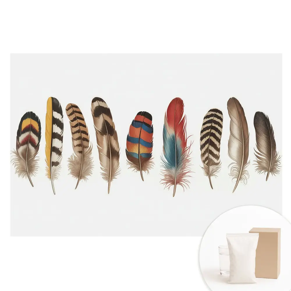 Papier peint photo sur tissu non tissé motif Plumes colorées bohème
