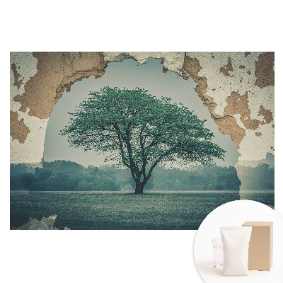 Papier peint intissé Un motif d'arbre empreint de nostalgie se détachant sur le fond d'un vieux mur.
