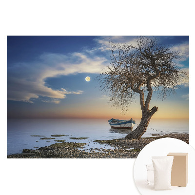 Papier peint photographique sur tissu non tissé Coucher de soleil romantique avec un bateau et un arbre