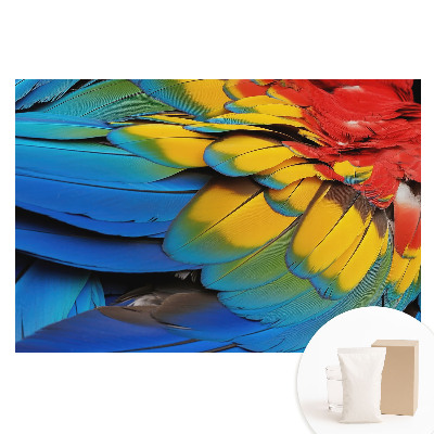 Papier peint photo sur tissu non tissé Mosaïque dynamique de plumes colorées