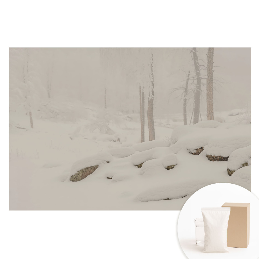 Papier peint photo grand format motif Paysage d'hiver en forêt
