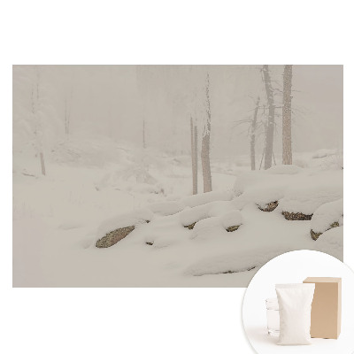 Papier peint photo grand format motif Paysage d'hiver en forêt