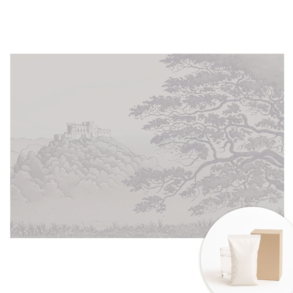 Papier peint photo sur tissu non tissé Paysage d'un château parmi les arbres