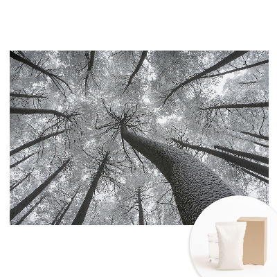 Papier peint photo sur tissu non tissé Forêt d'hiver vue d'en bas