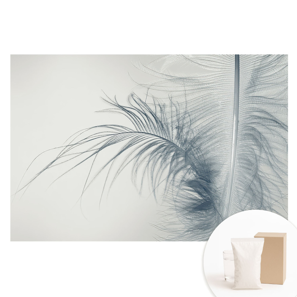 Papier peint intissé photographique motif plumes légères et harmonieuses