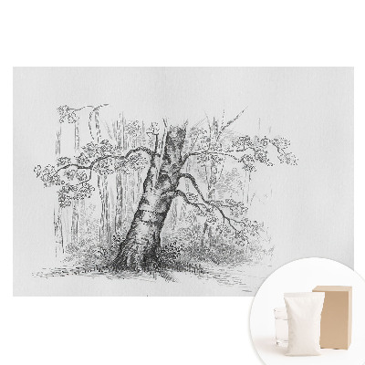Papier peint intissé Dessin d'un arbre dans la forêt