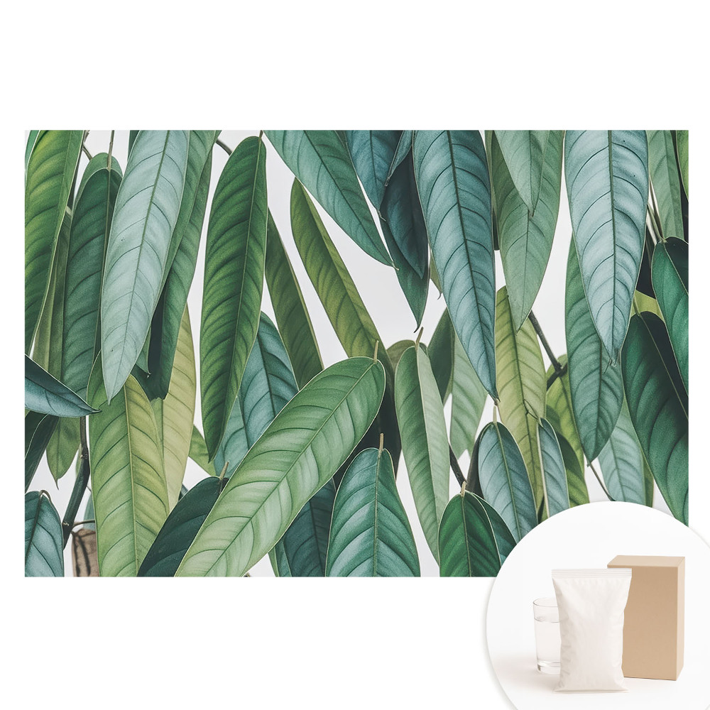 Papier peint photo grand format pour le mur Feuilles vertes, minimalisme, nature