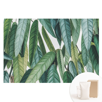 Papier peint photo grand format pour le mur Feuilles vertes, minimalisme, nature