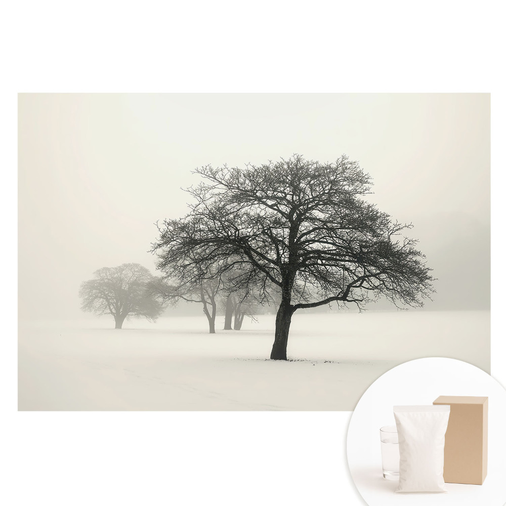 Papier peint photo imprimé sur tissu non tissé Arbres dans le brouillard paysage hivernal