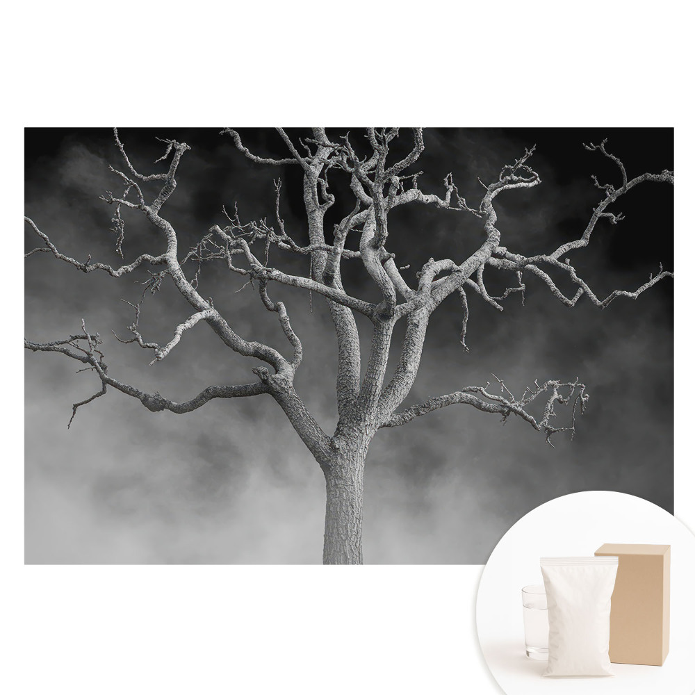 Papier peint photo grand format pour le mur Un arbre solitaire dans le brouillard