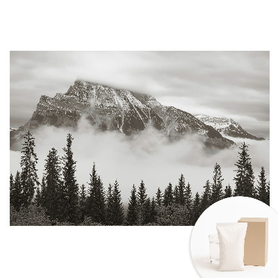 Papier peint photo sur tissu non tissé Paysage de montagne enveloppé dans la brume
