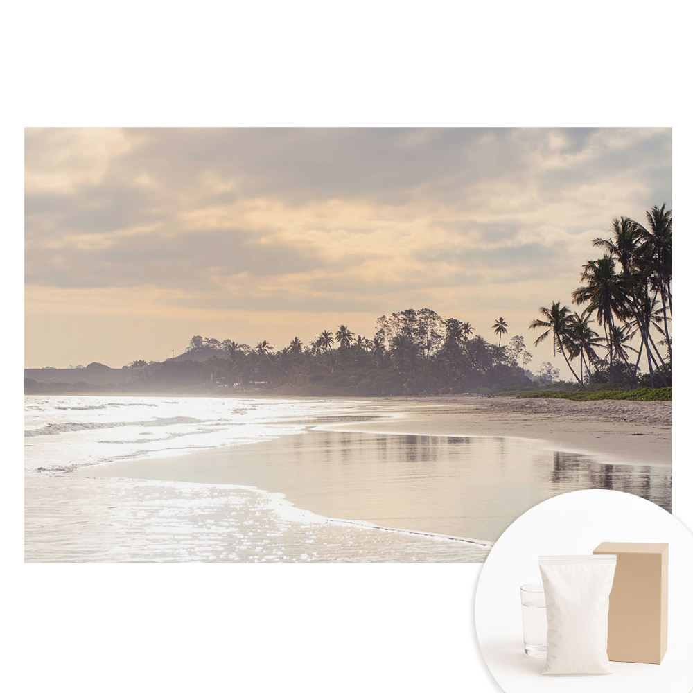 Papier peint photographique intissé Une plage tranquille bordée de palmiers