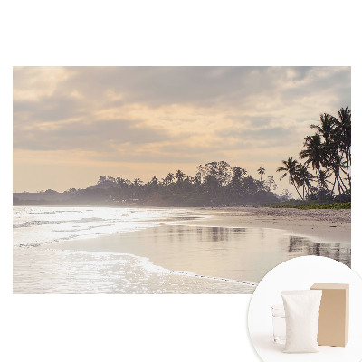 Papier peint photographique intissé Une plage tranquille bordée de palmiers