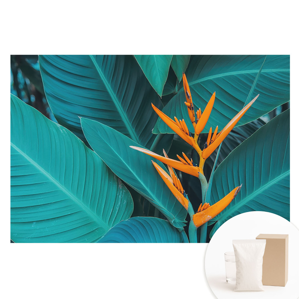 Papier peint panoramique intissé motif plantes exotiques