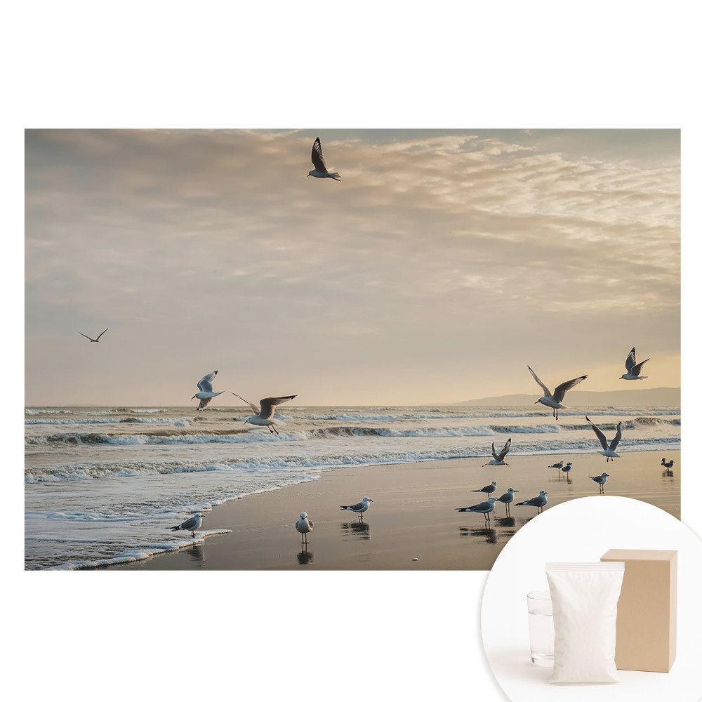 Papier peint intissé Mouettes sur le rivage au coucher du soleil