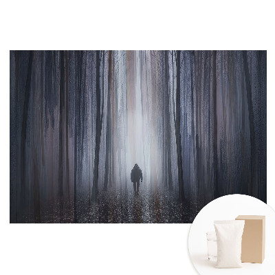 Papier peint photographique sur tissu non tissé Une silhouette solitaire dans une forêt mystérieuse