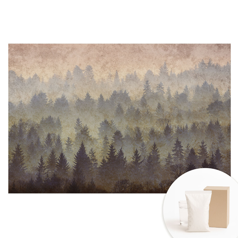 Papier peint photo sur intissé Forêts atmosphériques enveloppées de brouillard