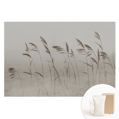 Papier peint panoramique intissé Brins d'herbe dans la brume
