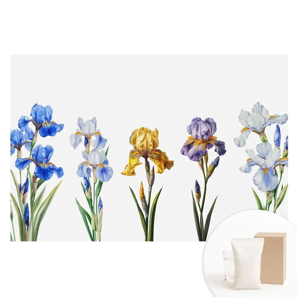 Papier peint photo sur tissu intissé Fleurs d'iris colorées sur fond blanc