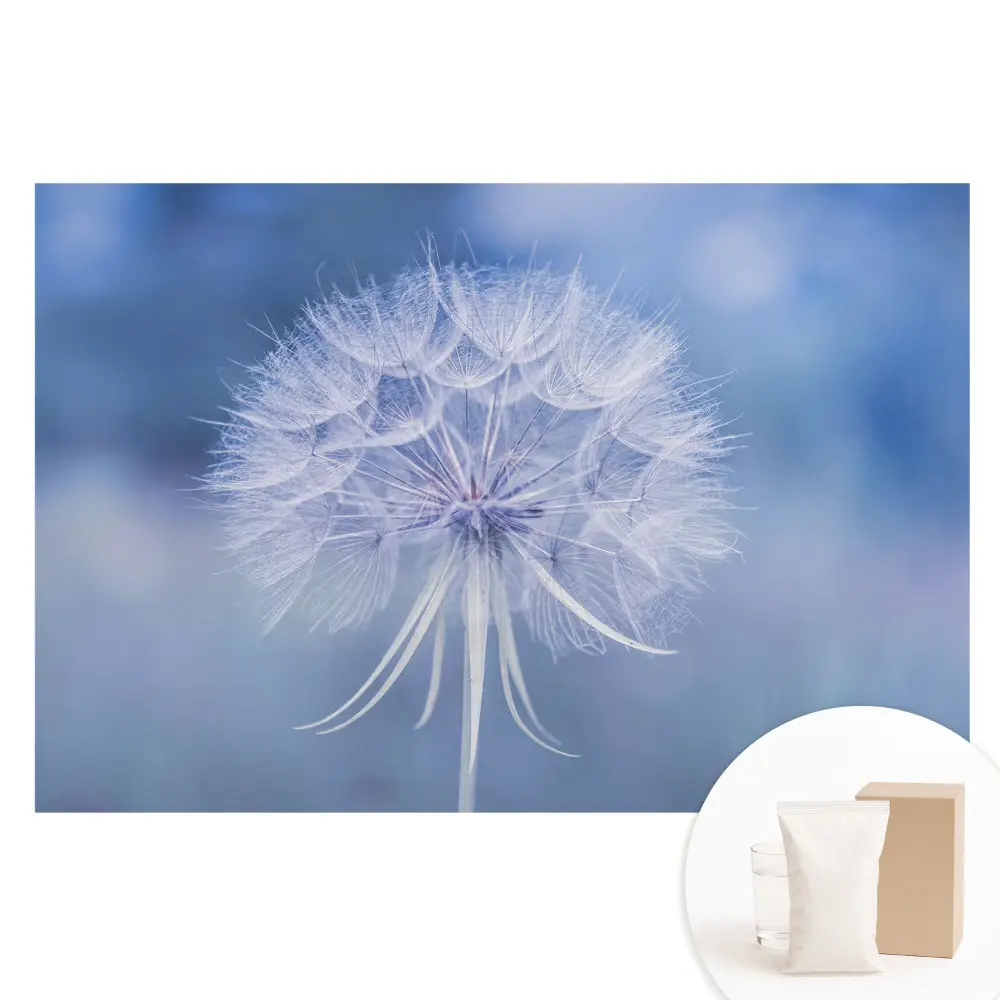 Papier peint photo grand format Pissenlit aux tons bleus
