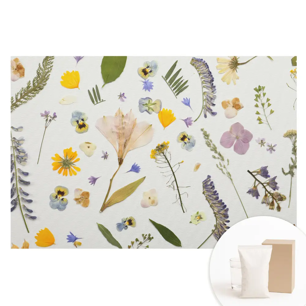 Papier peint intissé photographique Fleurs séchées sur toile blanche