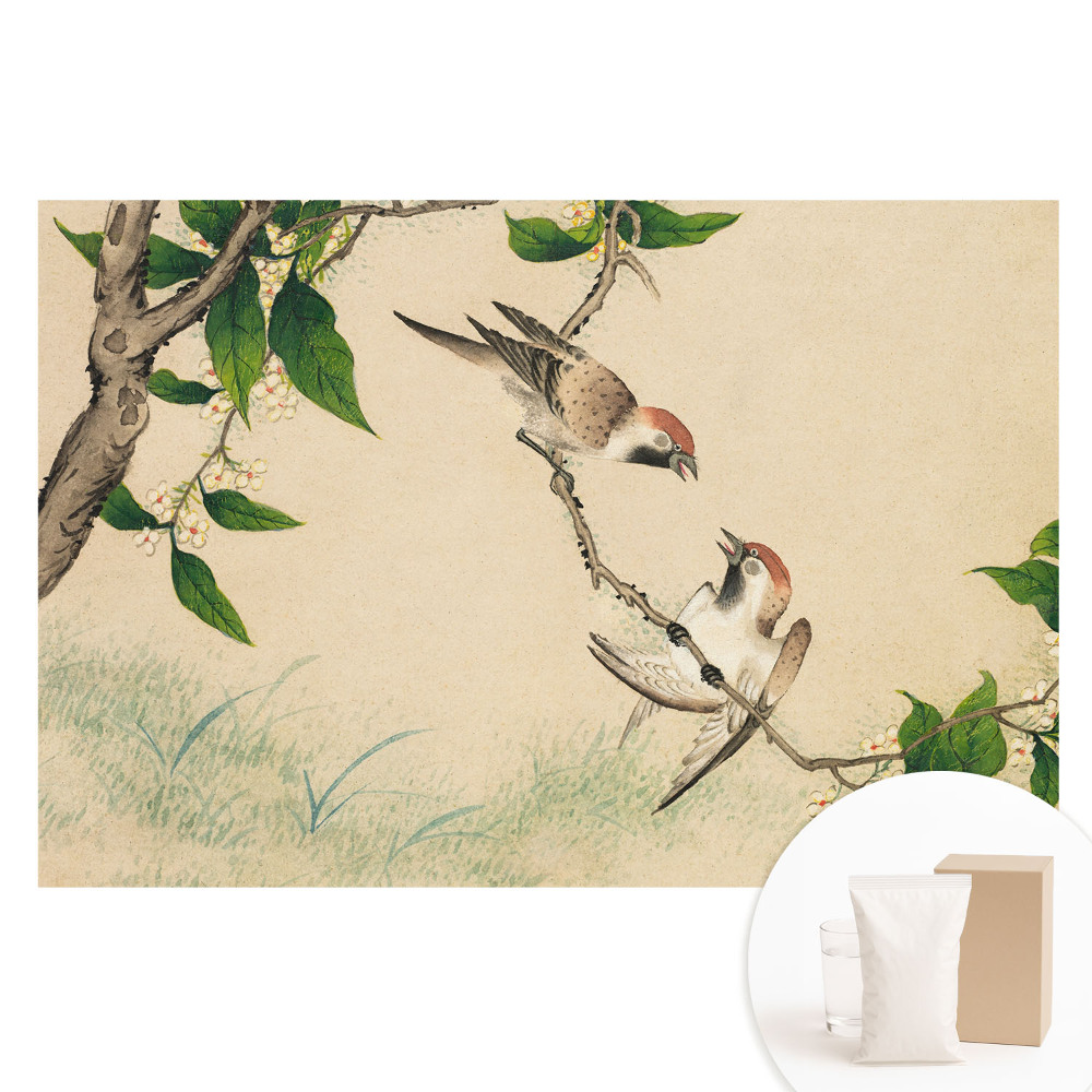 Papier peint intissé style classique motif oiseaux sur une branche