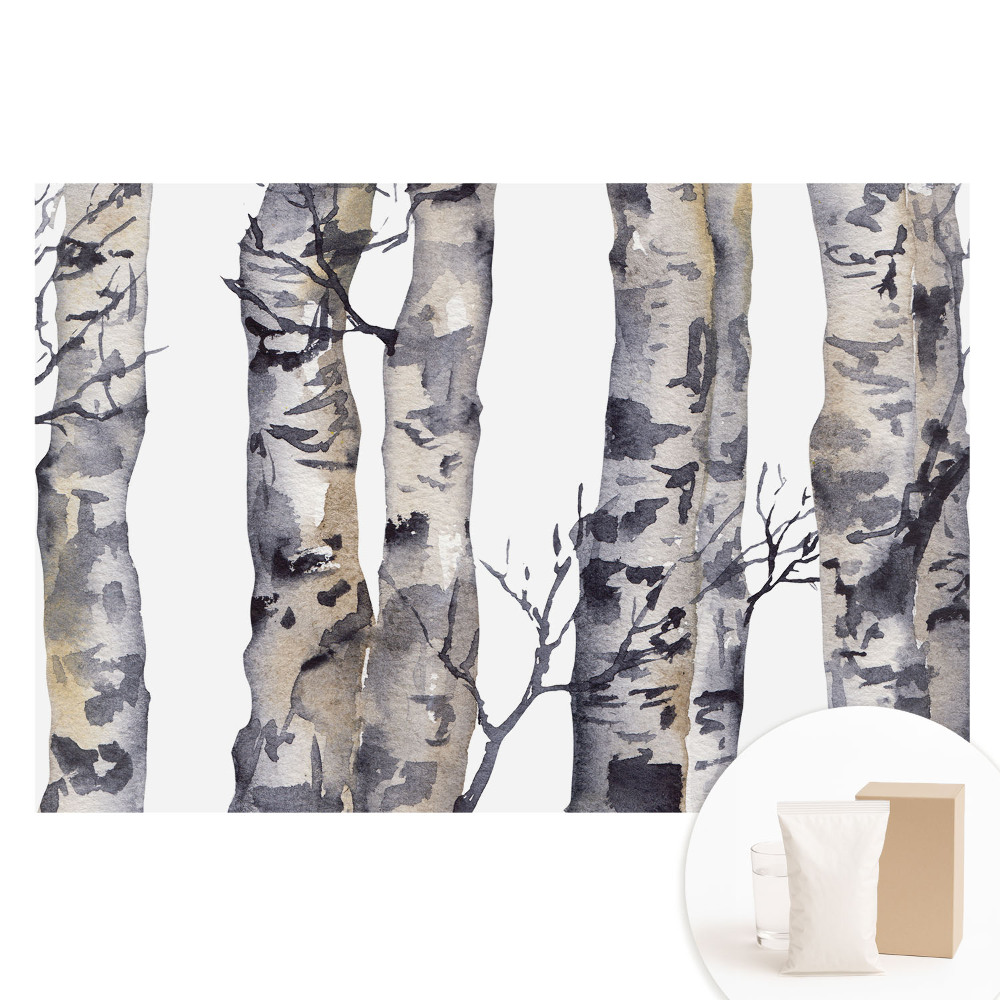 Papier peint intissé imprimé Troncs de trembles gris à l'aquarelle