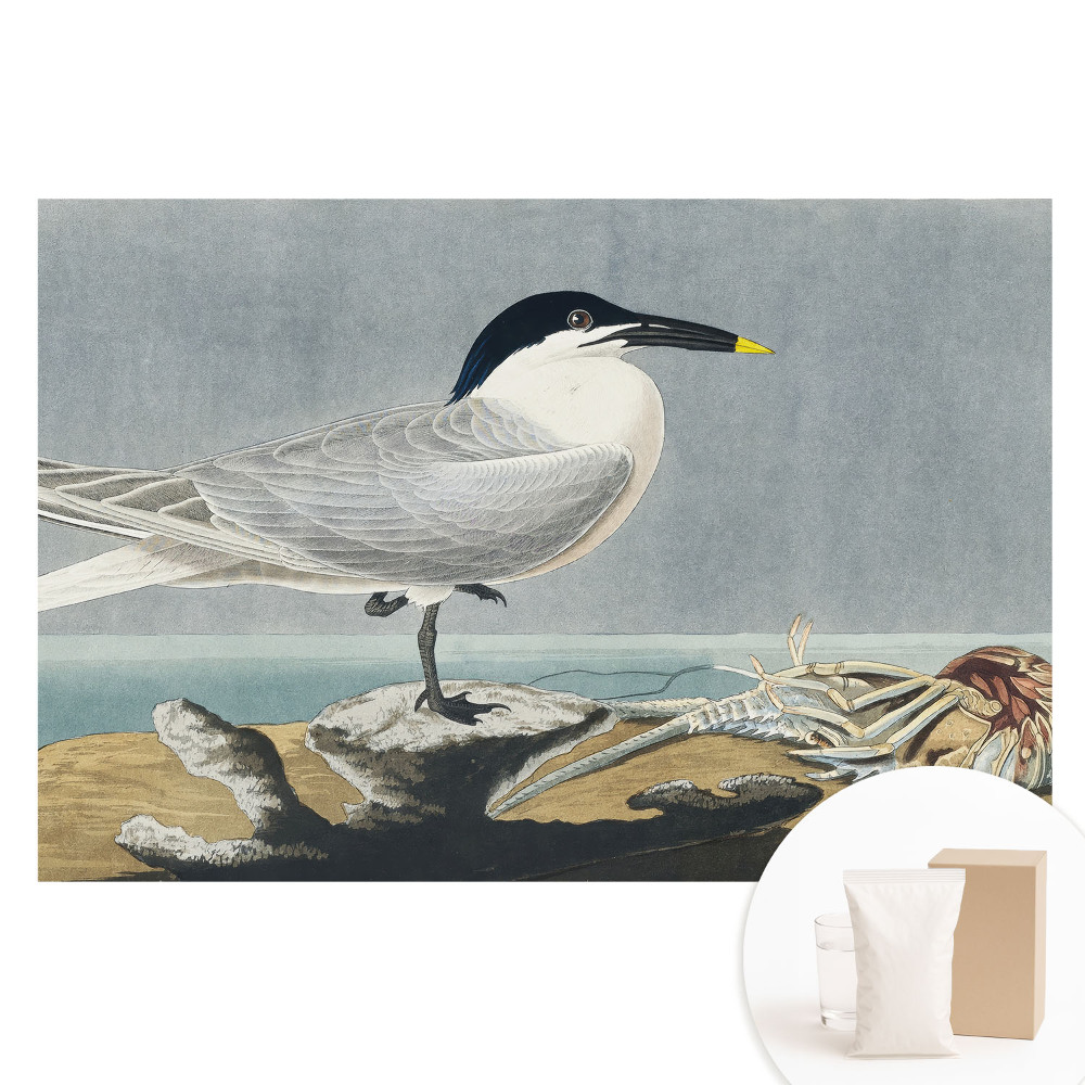 Papier peint panoramique sur intissé représentant un oiseau élégant sur fond marin