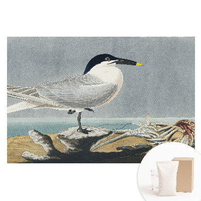 Papier peint panoramique sur intissé représentant un oiseau élégant sur fond marin