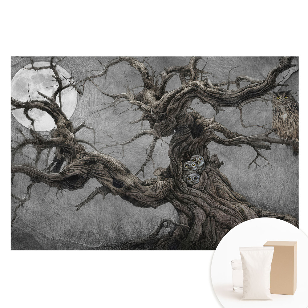 Papier peint photographique intissé Paysage nocturne magique avec des hiboux