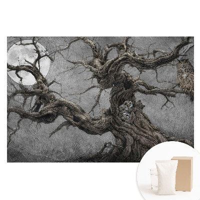 Papier peint photographique intissé Paysage nocturne magique avec des hiboux