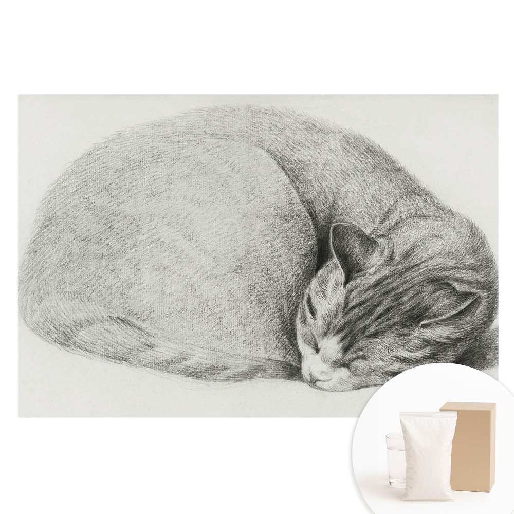 Papier peint intissé imprimé dessin réaliste d'un chat endormi