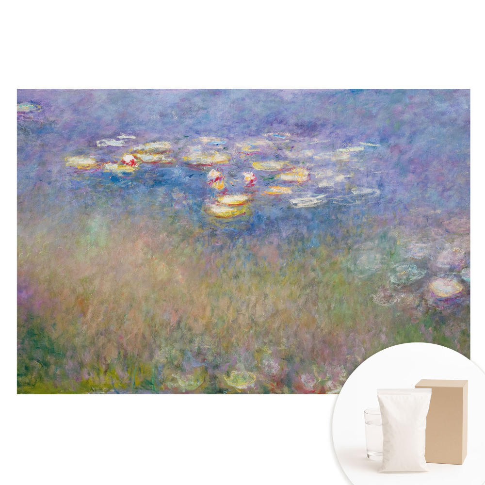 Papier peint photo sur tissu non tissé Nénuphars impressionnistes
