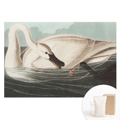 Papier peint photo imprimé sur tissu non tissé Un cygne à la surface de l'eau