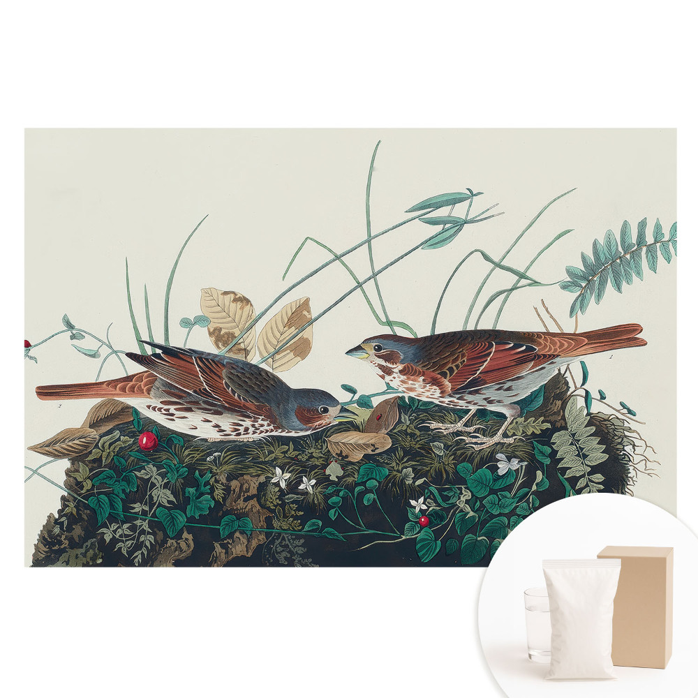 Papier peint panoramique sur tissu intissé Oiseaux dans la verdure
