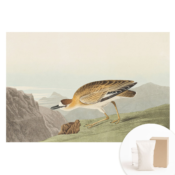 Papier peint intissé imprimé Un oiseau sur le flanc de la montagne