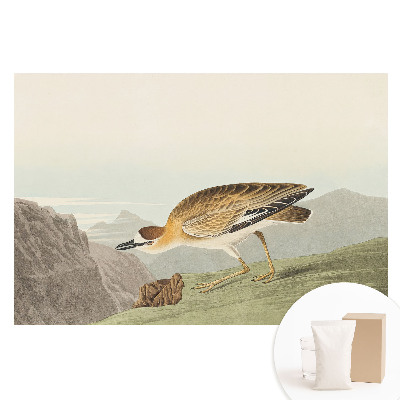 Papier peint intissé imprimé Un oiseau sur le flanc de la montagne